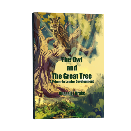 The Owl And The Great Tree