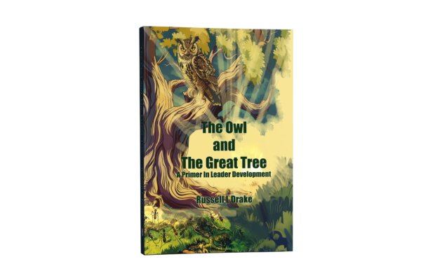 The Owl And The Great Tree